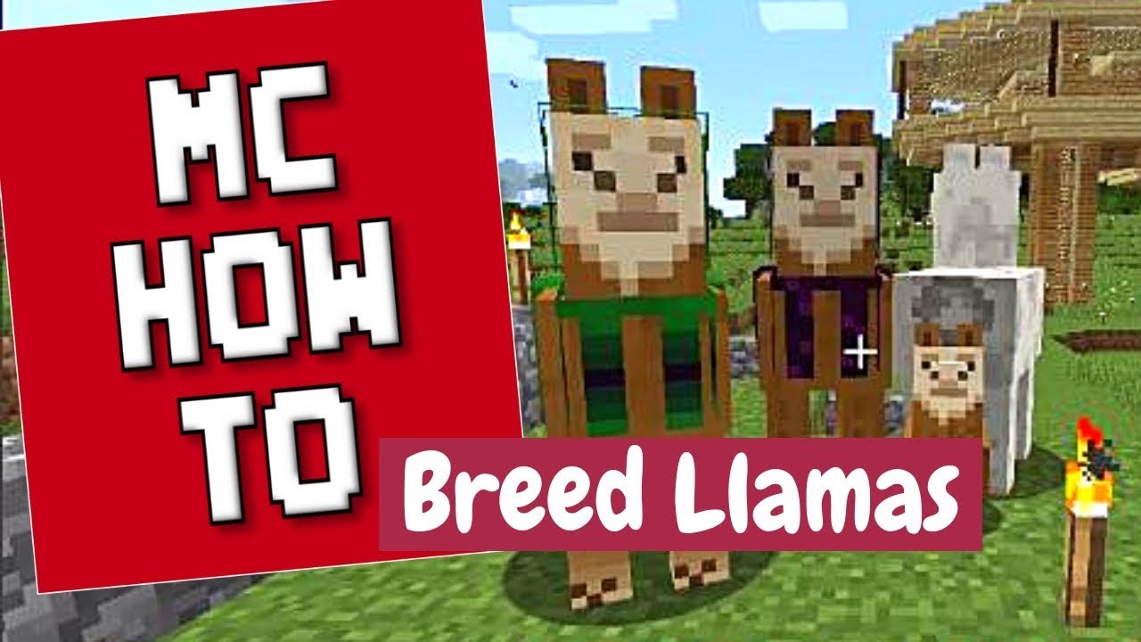  Breed Llamas in Minecraft